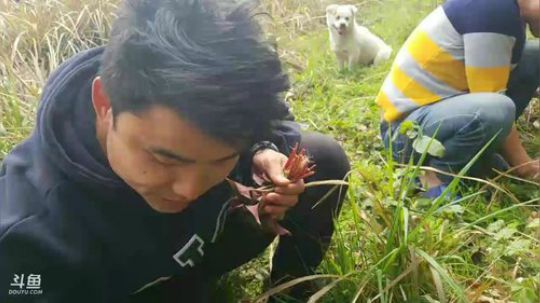 收集山野食材 2018-03-13 13点场