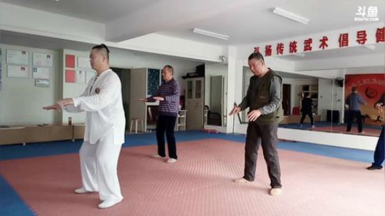太极形意。青峰传统武术健身会馆 2018-03-12 08点场