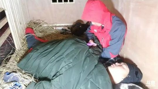 一笼，一人，一鸡，一狗，一晚，鸡要活下来 2018-03-21 03点场