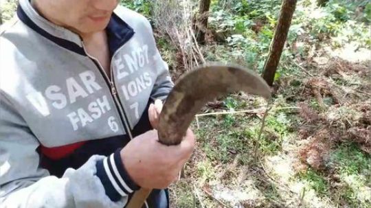 户外生活颠颠专场。 2018-03-26 13点场