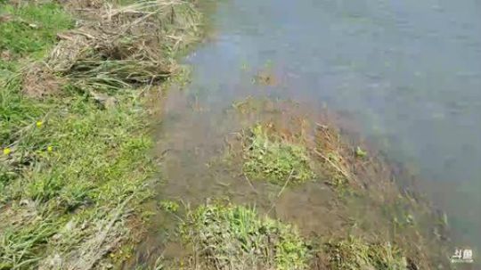 户外生活颠颠专场。 2018-03-26 12点场