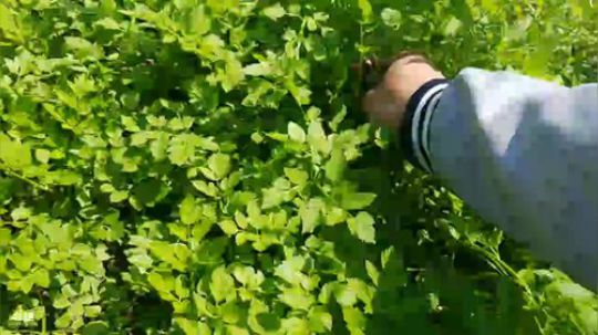 户外生活颠颠专场。 2018-03-26 12点场