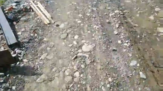 户外生活颠颠专场。 2018-03-26 09点场