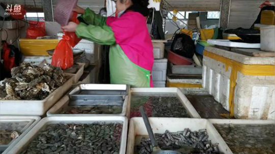 西北老狼哥发布了一个斗鱼视频2018-03-26