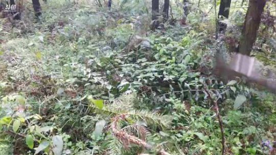 户外生活颠颠专场。 2018-03-26 10点场