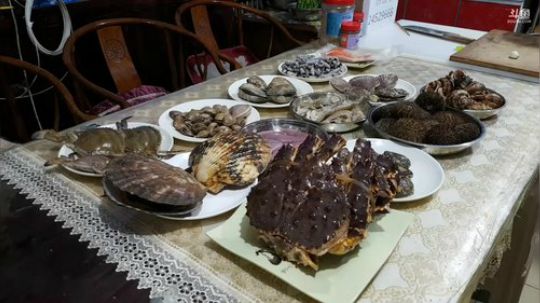 西北老狼哥发布了一个斗鱼视频2018-03-27