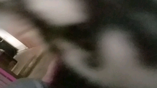 精神病犯了
