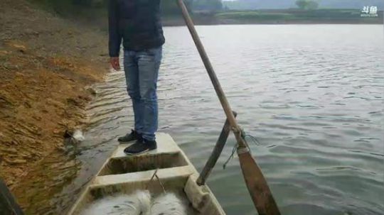 粉丝节大家嗨起来。 2018-03-30 11点场