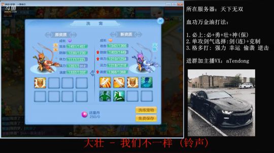 洗龙虾终于成功出货