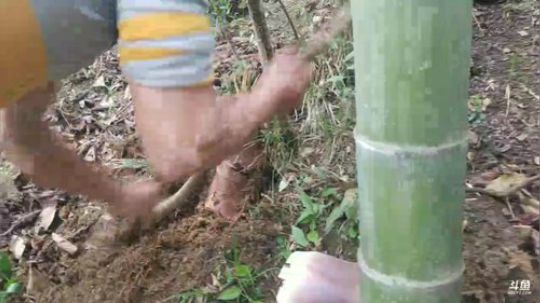 办卡抽千元现金水库生活第一天， 2018-03-31 13点场