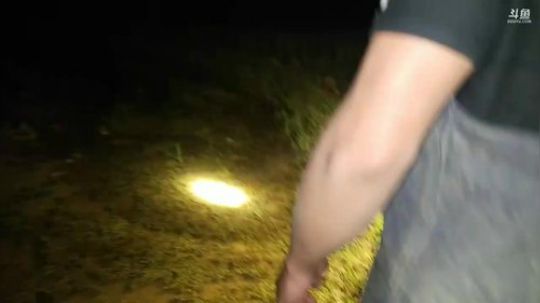 深夜捡黄鳝 2018-03-30 21点场