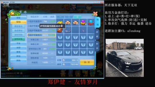 洗护符+6技能老虎上书