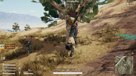 丶小观众发布了一个斗鱼视频2018-04-02