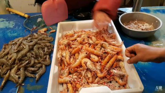 西北老狼哥发布了一个斗鱼视频2018-04-03