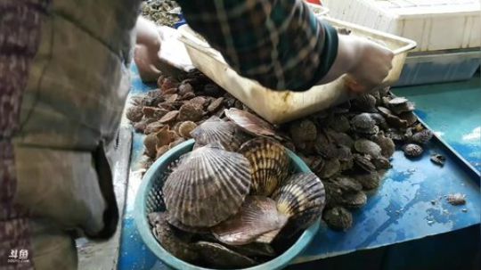 【大海钓鱼哥】帮兄弟买海鲜！ 2018-04-03 10点场