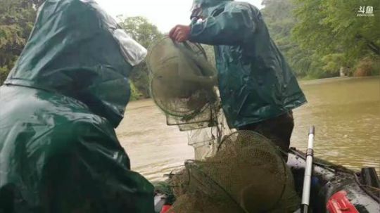 80根牛鞭的大场面！ 2018-04-05 13点场