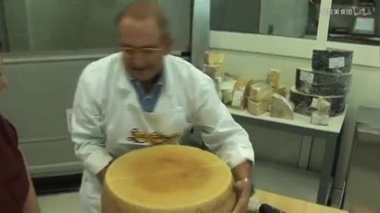 千万不要以为这是木头墩子！其实这是…