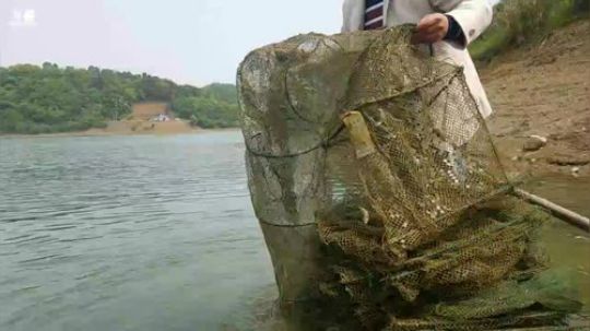 水库嗨皮下午牛鞭。 2018-04-06 10点场