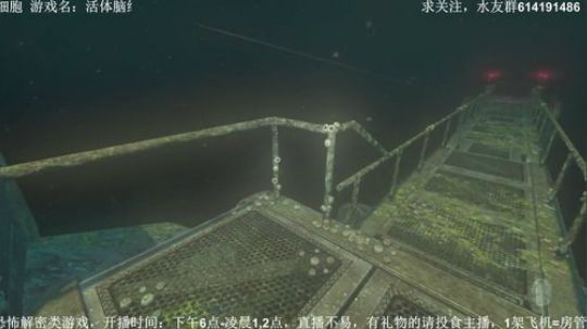 【素年】各种惊悚恐怖游戏，你想看的这都有 2018-04-06 18点场