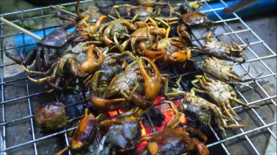 【老挝美食】，烤稻田蟹.