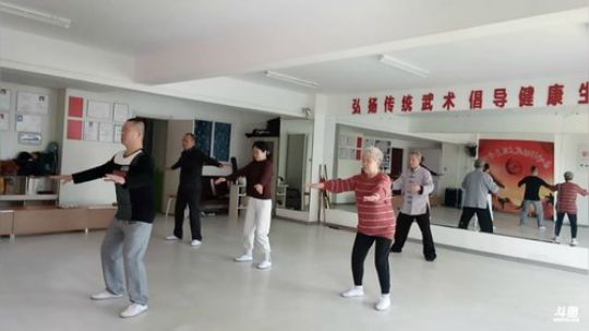 太极形意。青峰传统武术健身会馆 2018-04-04 08点场