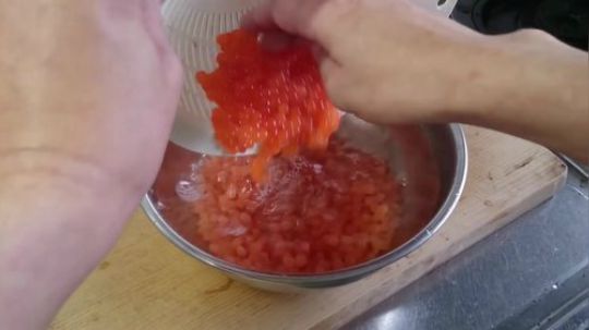 好奇！外国人竟然是这样吃鱼卵的……