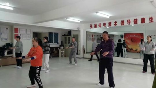 太极形意。青峰传统武术健身会馆 2018-04-03 08点场