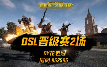 【DSL晋级赛2场合辑】花老湿4.8