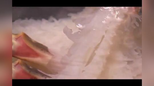 蟹腿盛宴！看日本厨师如何处理螃蟹？（很不错啊）