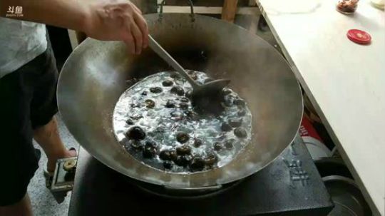 抓龙虾捡田螺， 2018-04-10 13点场