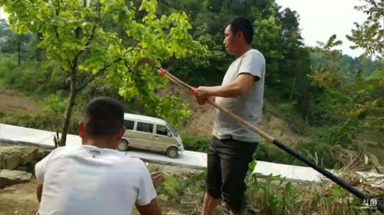 采摘香椿。 2018-04-10 15点场