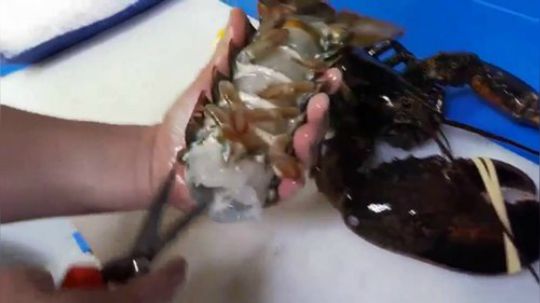 我切 我切 我还切