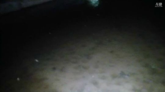 雷疯讲棋：体验一个象棋疯子给你带来的快乐 2018-04-11 00点场