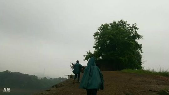 围网赶鱼！ 2018-04-12 13点场