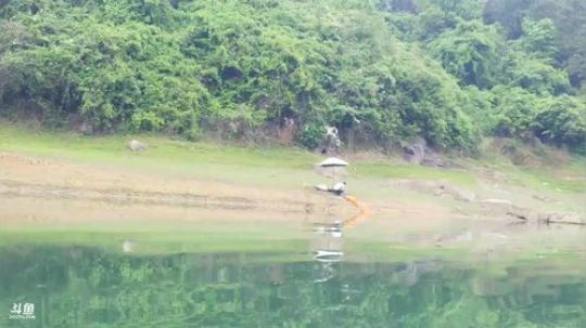 围网赶鱼！ 2018-04-12 11点场