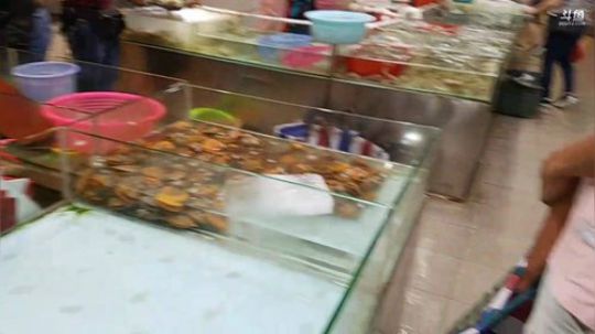 我在斗鱼看吃货强直播美食