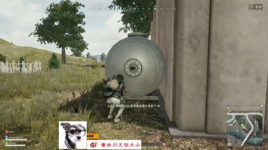 我们是宇宙最强带妹组合