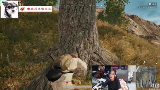 呆妹？98K小公主？8倍M4小公主？