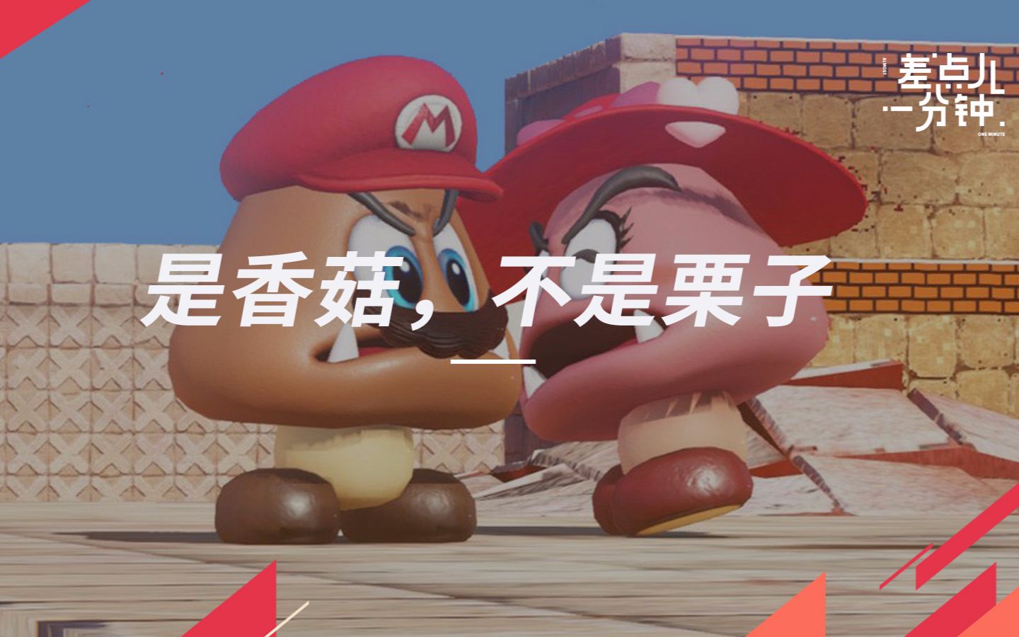 你知道吗?栗子小子其实不是栗子,是香菇 vol.33