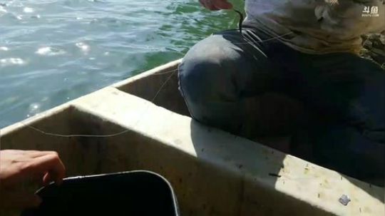 桂鱼钓，特大地笼 2018-04-18 15点场