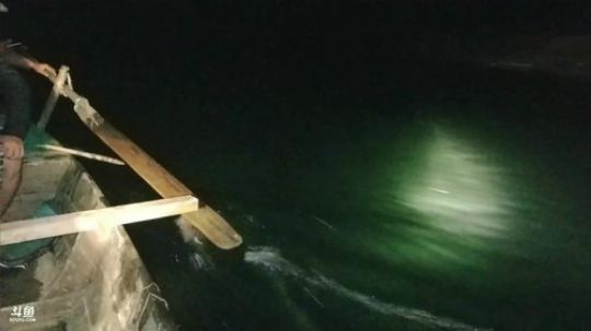 让水友体验叉鱼的乐趣。 2018-04-17 22点场