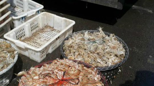 西北老狼哥哥发布了一个斗鱼视频2018-04-18