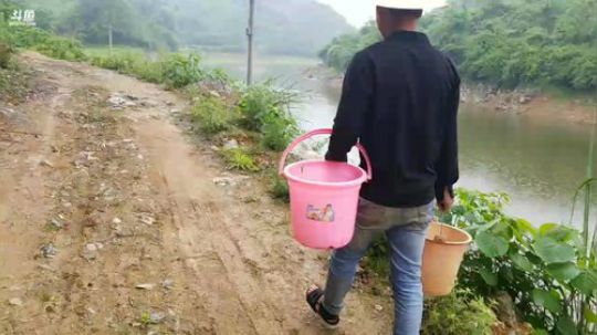 甲鱼钓。。 2018-04-22 11点场