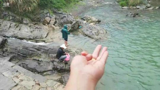 钓甲鱼～～ 2018-04-22 12点场