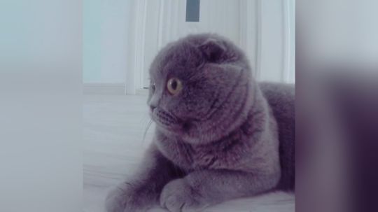 老年人的星期日