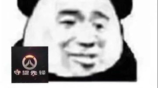 守望录像