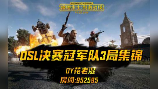 【DSL刺激战场决赛冠军3场集锦】G港队