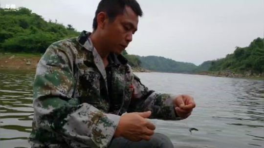 钓甲鱼！钓桂鱼！已上货超大甲鱼！ 2018-04-23 11点场