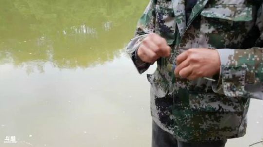 钓甲鱼！钓桂鱼！已上货超大甲鱼！ 2018-04-23 09点场