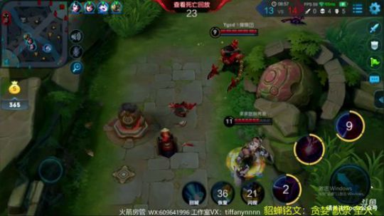 威廉：不上王者不下播！ 2018-04-28 12点场